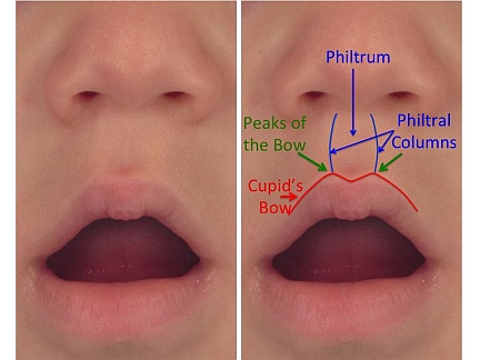 diagrama de la boca y la nariz de un niño