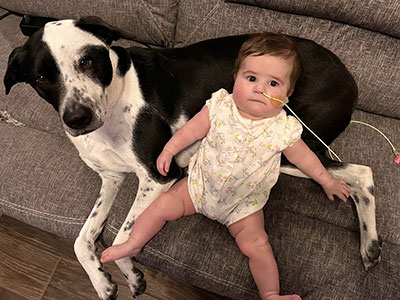 Bebé acostada sobre un perro sentado en un sofá