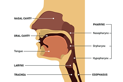 Pediatric post airway reconstructive hoarseness - Children's Health