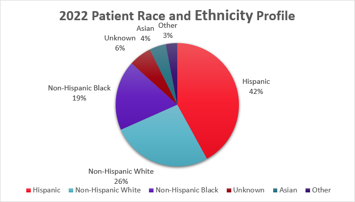 Un gráfico circular con el perfil de raza y origen étnico de los pacientes de Children's Health muestra cuarenta y dos por ciento de hispanos, veintiséis por ciento de blancos, diecinueve por ciento de negros, seis por ciento de raza y origen étnico desconocidos, cuatro por ciento de asiáticos y tres por ciento de otros orígenes étnicos.