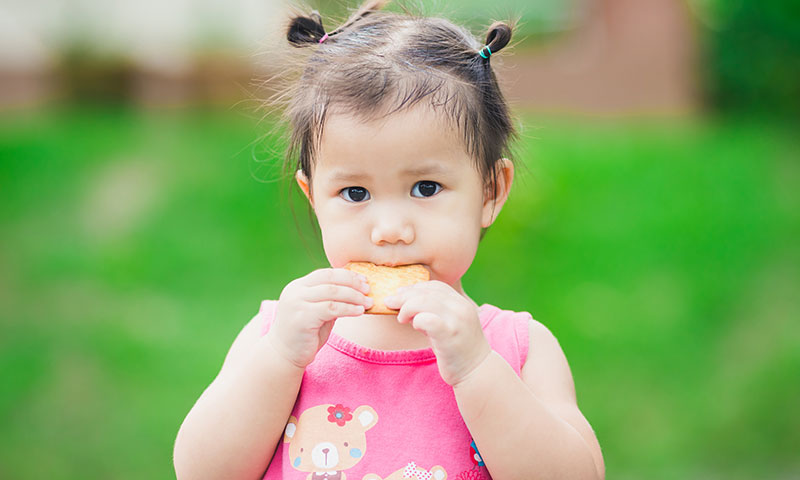 niña pequeña comiendo una galleta