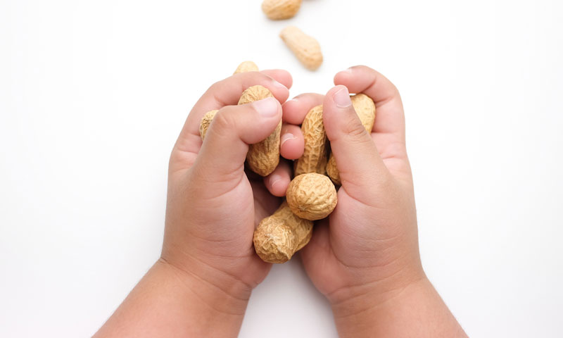 Manos de niño sosteniendo cacahuates